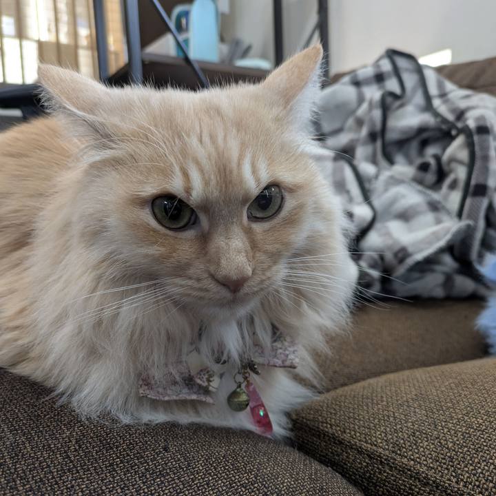 B3f06303 4f36 499f 8b0f bfde9364ebae 1771199828374