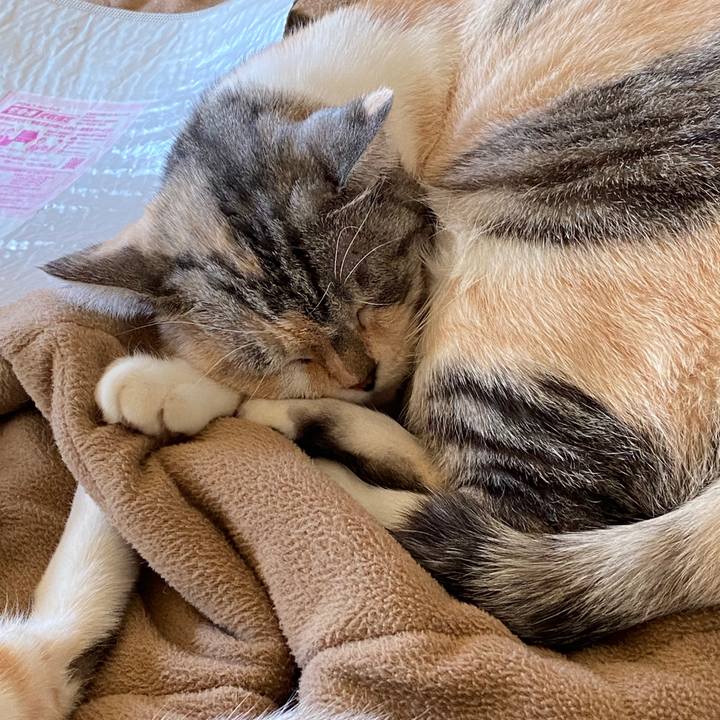 B3f065f1 baa5 46f0 b2f2 6d7489148061 1604584220315