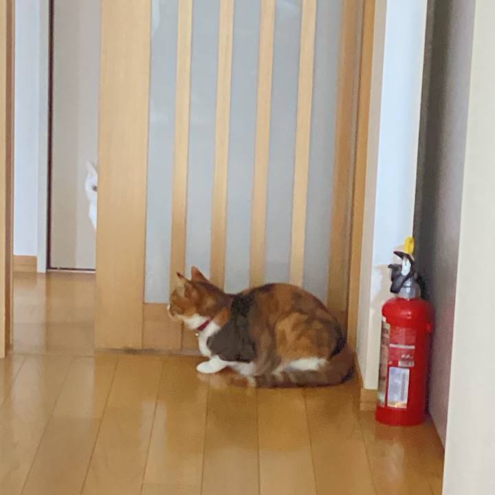 B3f0a1ae 2bbe 4dc8 9ccc 580bdf613618 1681527564152