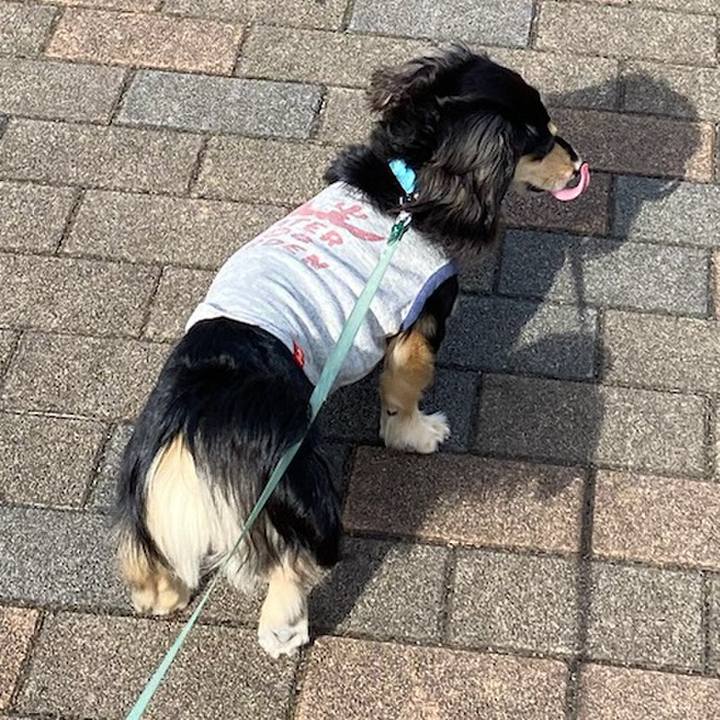 B3f0a1e8 1e08 4094 a1ce ecf2955e6698 1685245489780