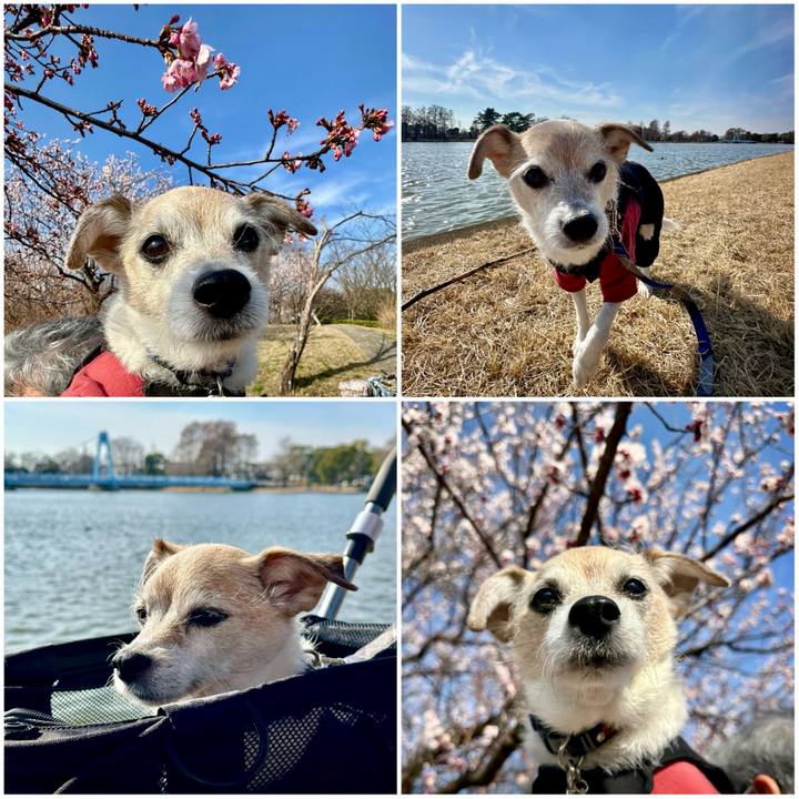 B3f0a6f4 5f9d 40b8 8997 3b6e95c7ca1a 1740826837406