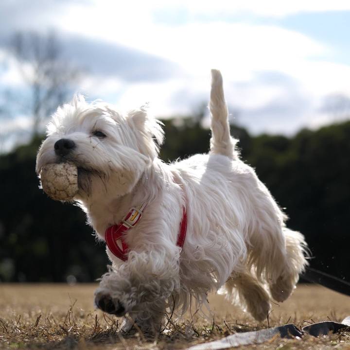 B3f0ca40 1fa2 4b75 8834 b7ed109b9ba1 1514555024207