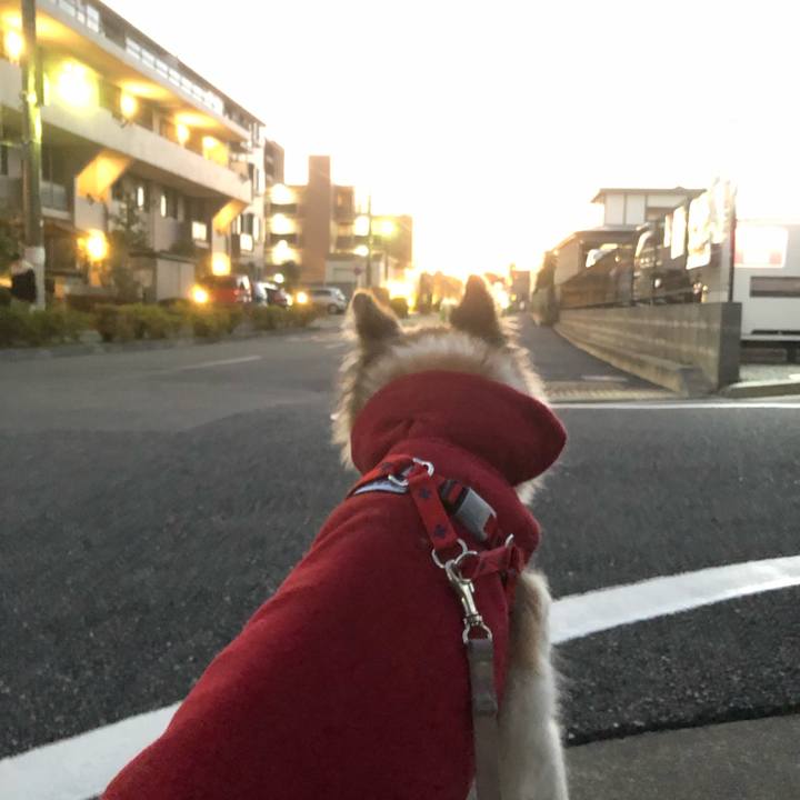 B3f10b0d 8c19 41c6 9b7d 00ef21a386ab 1546162094751