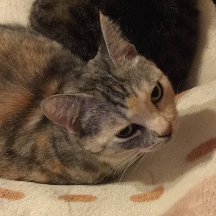 B3f127b0 6e57 4fd6 b4a9 184b3849100a 1575199799050