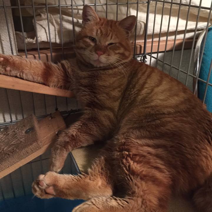 B3f12d4c ef8a 4af5 971e 0b9a18b36e5a 1518184964917