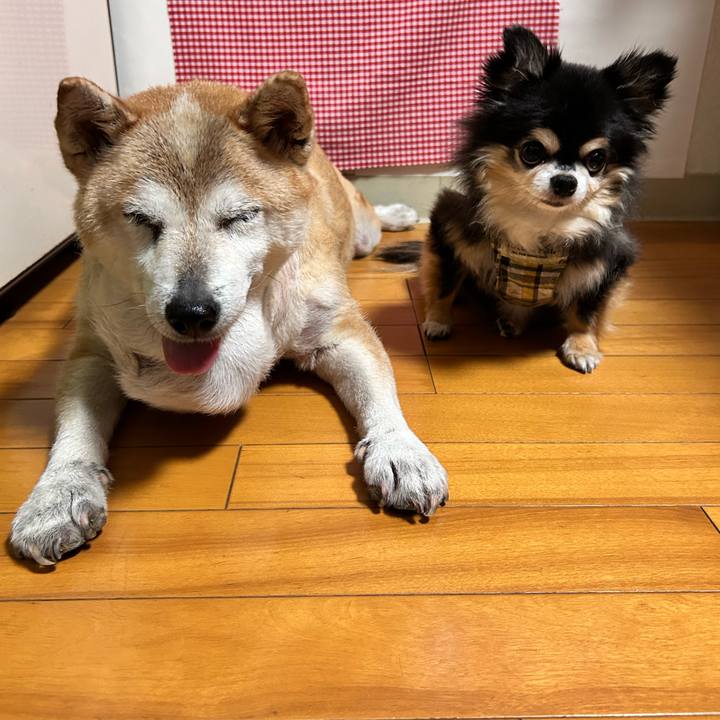 B3f14cbf fc3e 4929 9310 faf190c63e06 1756373216429