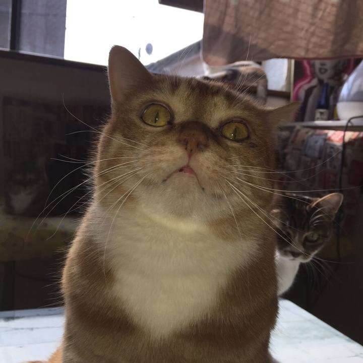 B3f154a0 b6b6 413c bd49 55624589adc4 1547272722407