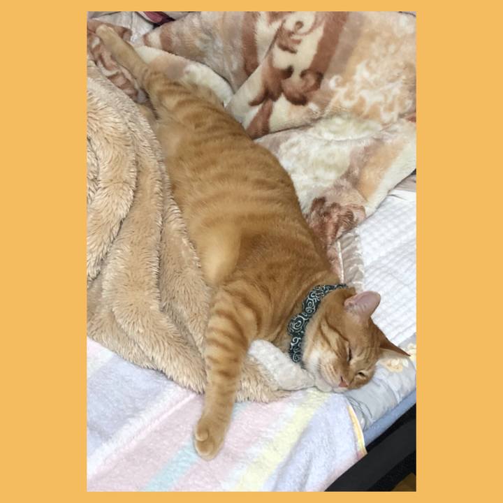 B3f19ec8 1387 475f aea2 b8358cbc9de0 1586185434747