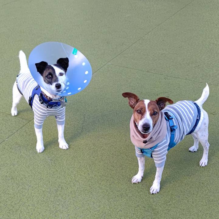 B3f1bde8 bdfb 41f4 812f c1e36cd4d357 1669362418790