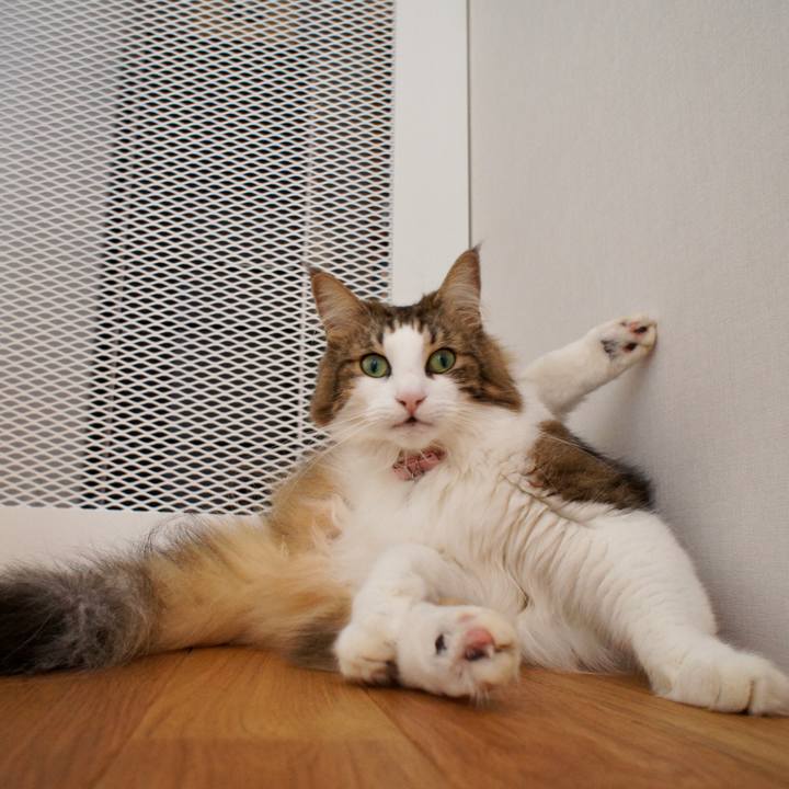 B3f1d320 0465 4d1a 8cd8 32420caa7159 1537762995033