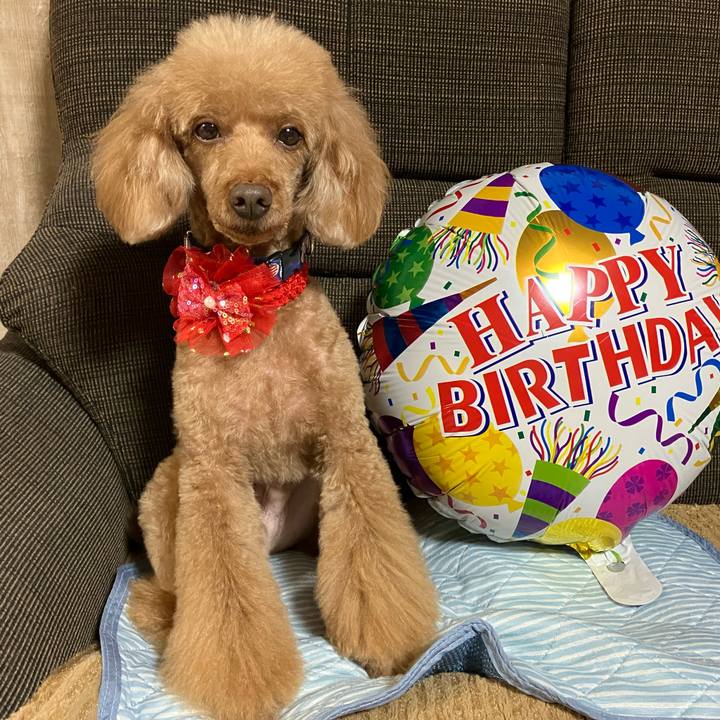 B3f1d9dc 8a23 4ca6 95b1 3cacd0922b9e 1667697176746