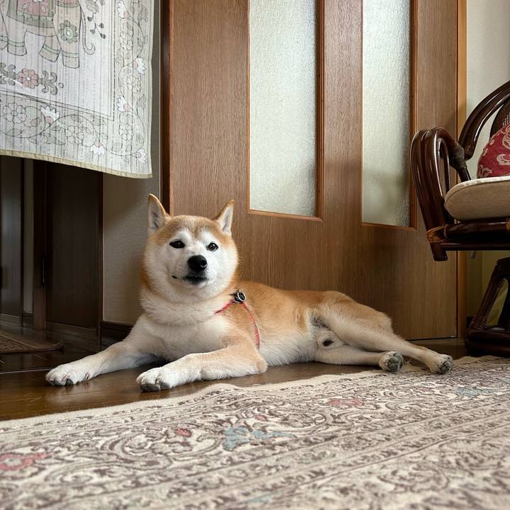 B3f235ea 1fcd 40e0 9b96 19d90476c966 1717931516758