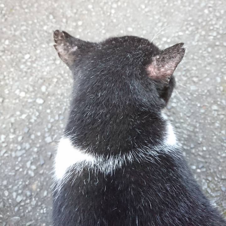 B3f24233 bc50 47fa bc22 010ee2c14b83 1597569124167