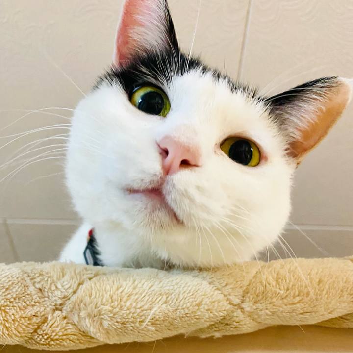 B3f24f49 ad99 4bfe b60c 9e4756a64175 1668173861689