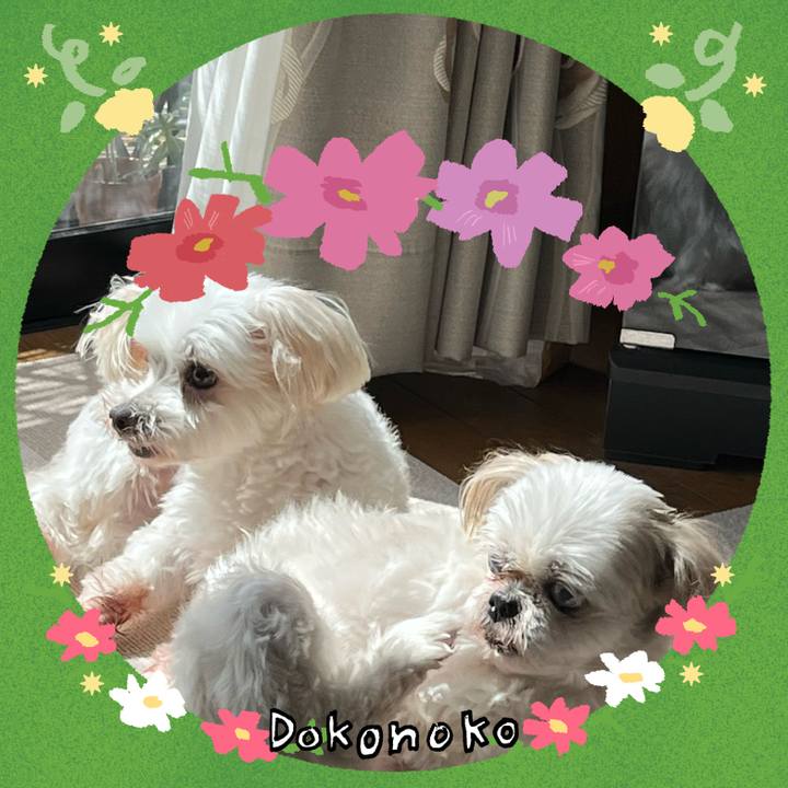 B3f2560b 5c0e 4b9f b8c3 dc21b4f02333 1727143871404