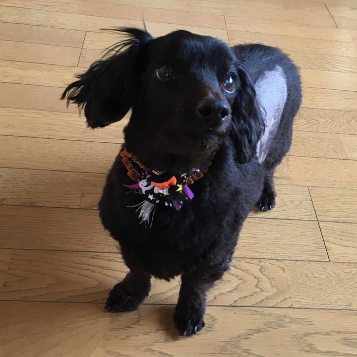 B3f27ea7 bb45 4cb7 b223 06ddec8cbf97 1540940918842