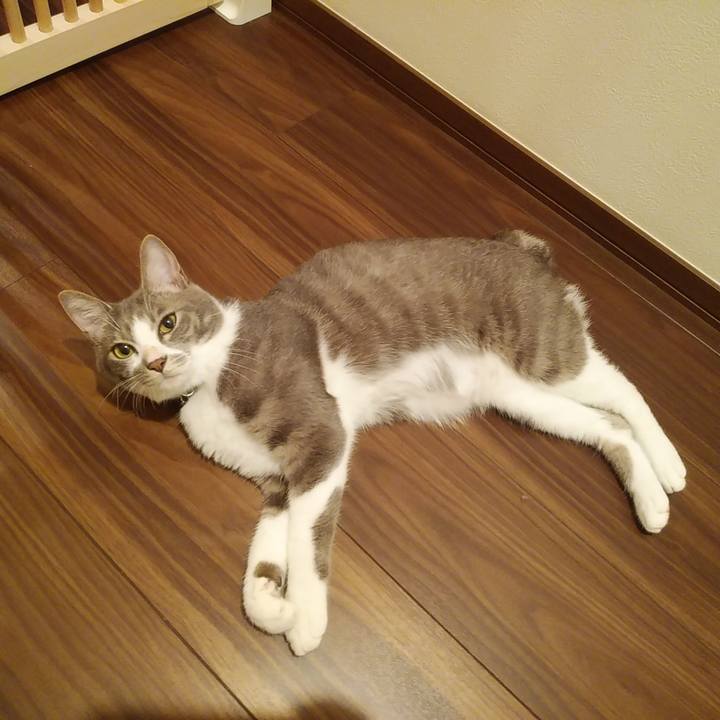 B3f2b257 6bbd 49e3 8c9f 5c774fcf1723 1592484887907