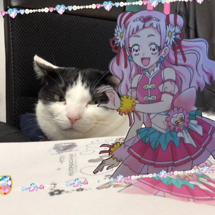 B3f2bee8 7dda 469a 9ba2 c17d105aeae2 1518189601455