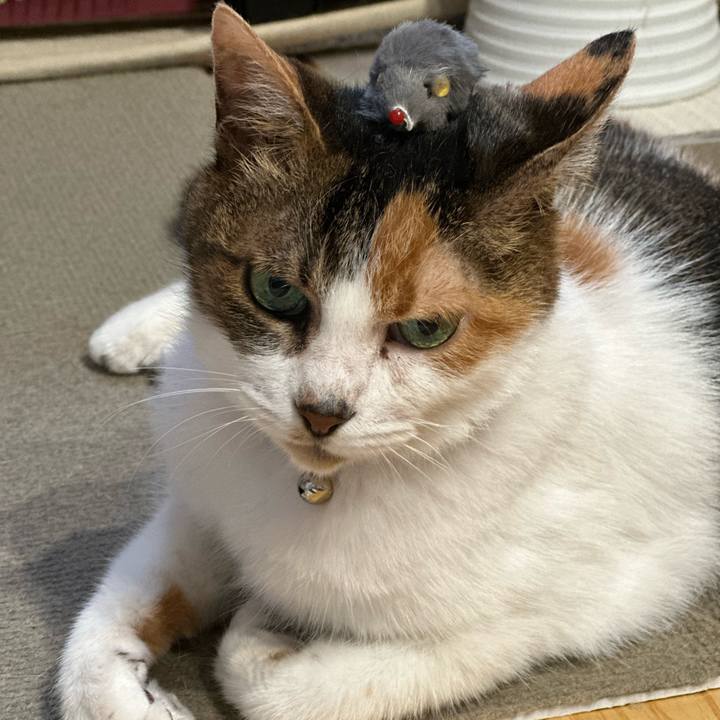 B3f2cfdf ea10 430c b637 fe0e91b3eb63 1686483331623