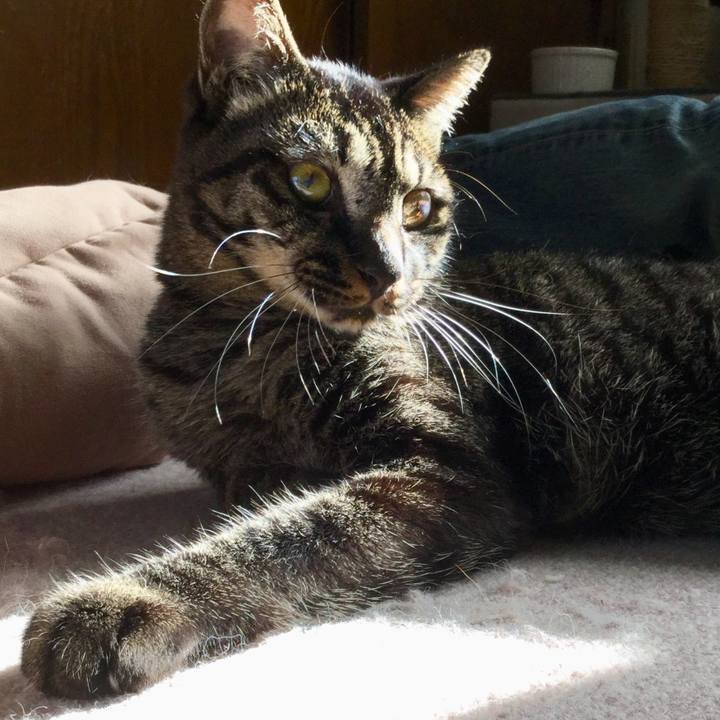 B3f305f0 95ea 4410 ba60 280bfe871c9d 1570267582240