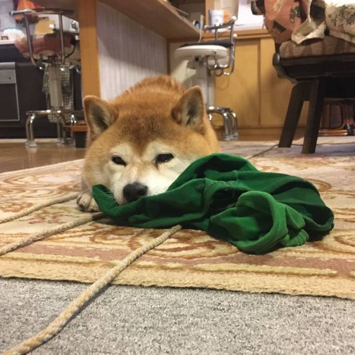 B3f309dc b67e 407b bbd0 20d28f52e005 1587723243622