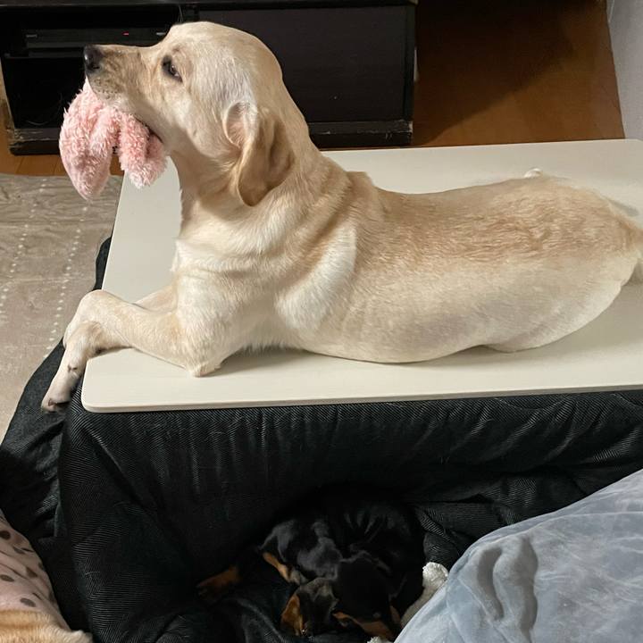 B3f31c15 d44f 4cb1 aa30 765fd66419e2 1640643083524