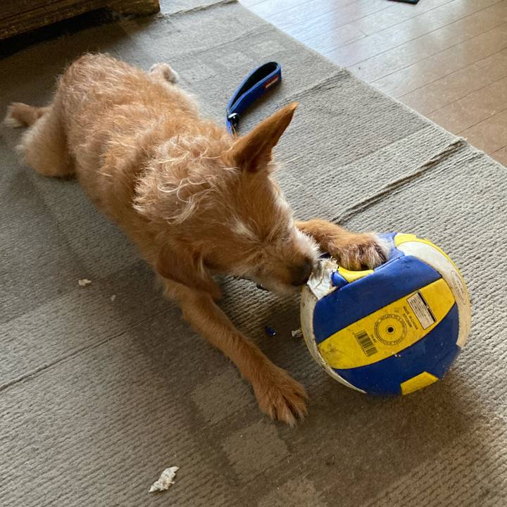 B3f33363 d0db 4730 b5fa 259f4d0d5a02 1653277466963