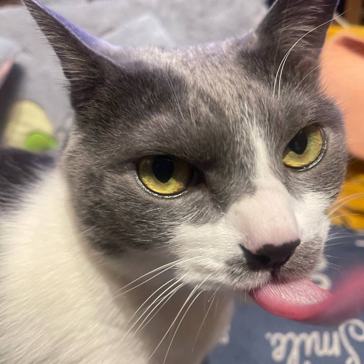 B3f3372d 17fc 4f2f ba82 d1836110953c 1744115320162