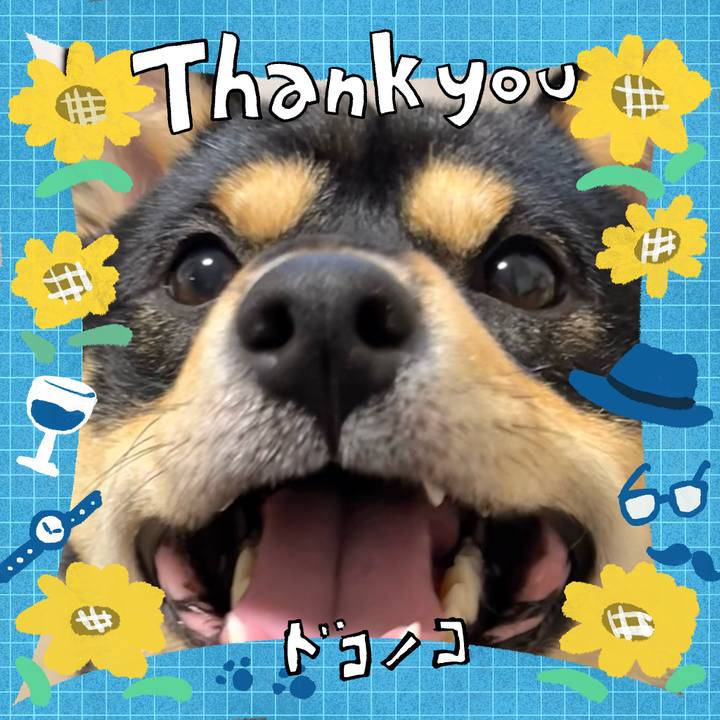 B3f359bd 7977 4845 9b70 767024f2fb0e 1717975825668