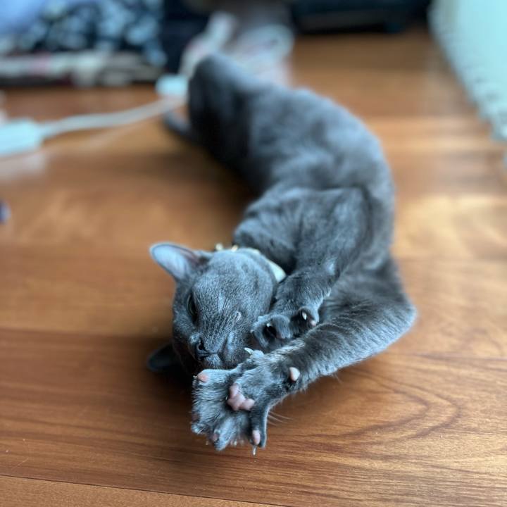 B3f365b5 6636 4b9b 8e4f 4fe3308fb457 1683463748841