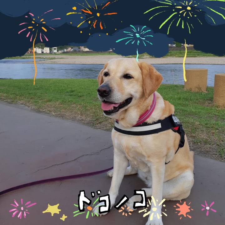 B3f37e4b d69e 4511 8843 41e1c5c7d9fc 1723555050589