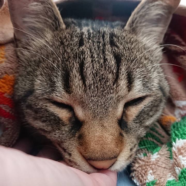 B3f38007 209c 449f bc98 d5dbb1cd0e3f 1558152654193