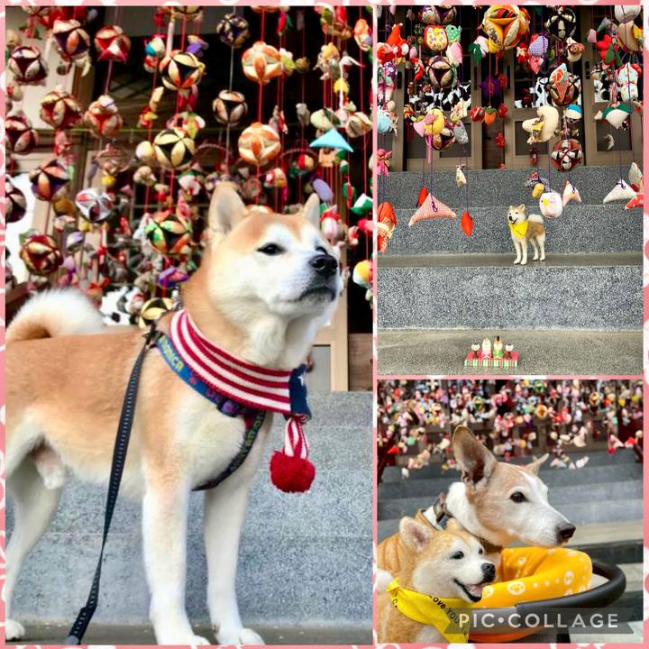 B3f3801f 7ed5 4a00 88c0 69dfaa8fc482 1772495035587