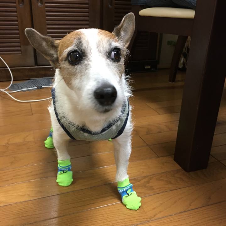 B3f38136 24a7 466c 9424 d753c3f401a7 1618442601962