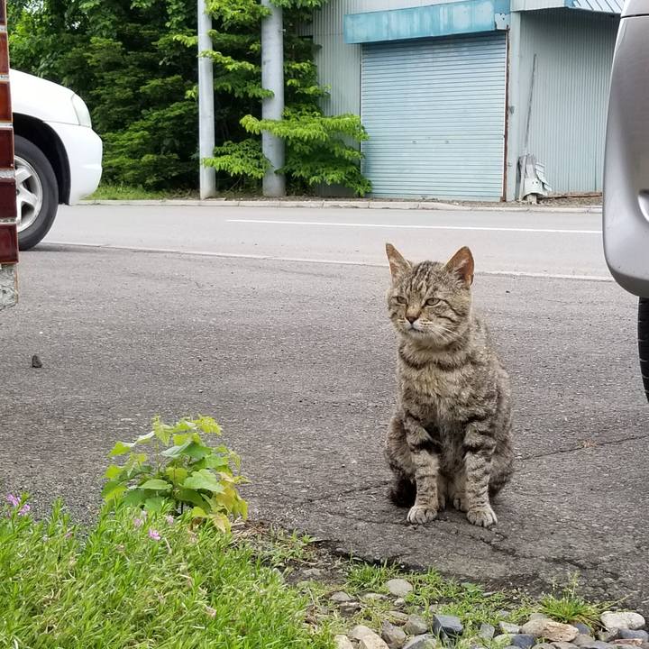 B3f3ad06 6d12 4e65 a06f 2798c00f18d9 1592465418985