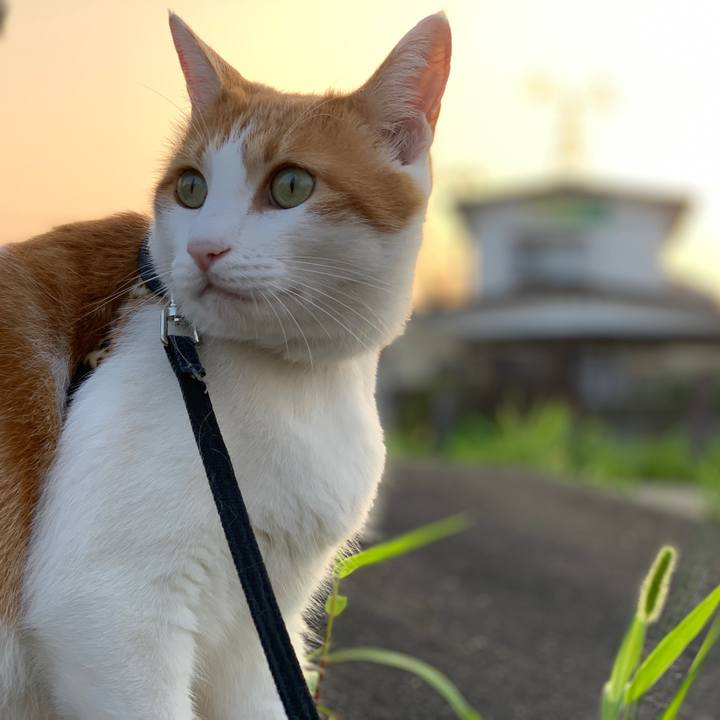 B3f3d0be 4ae2 44a4 b263 99c4fa007a16 1596617972604