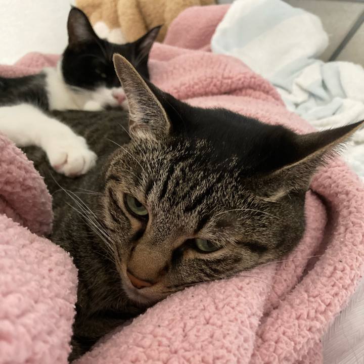 B3f3dfbb b8f1 4943 8f91 4c4eb8f12857 1634850435711