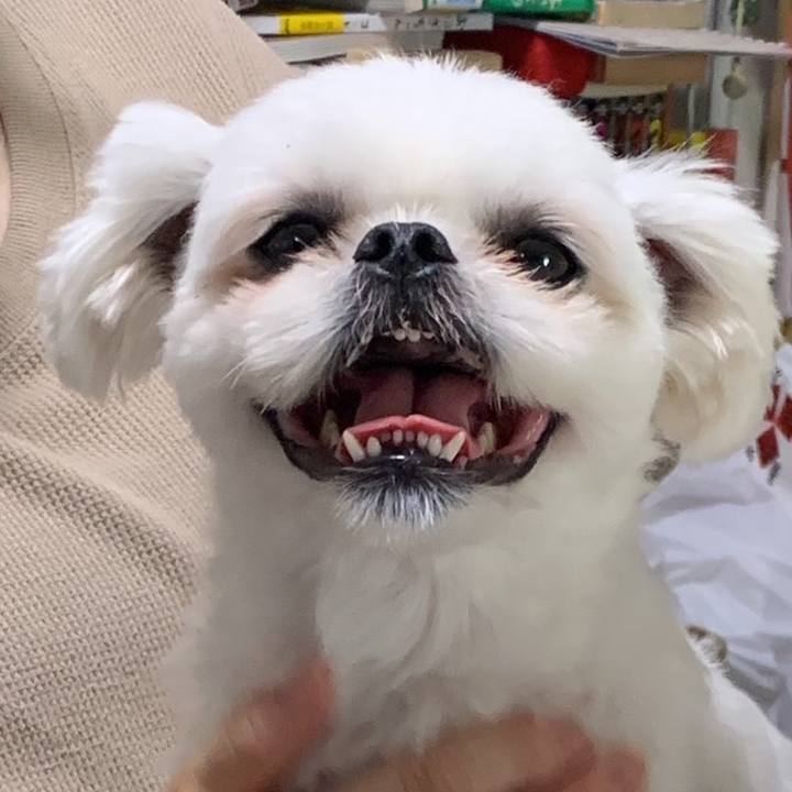 B3f3ea39 b17d 4b1b 8ffc 4fdfd510aec9 1693921120325