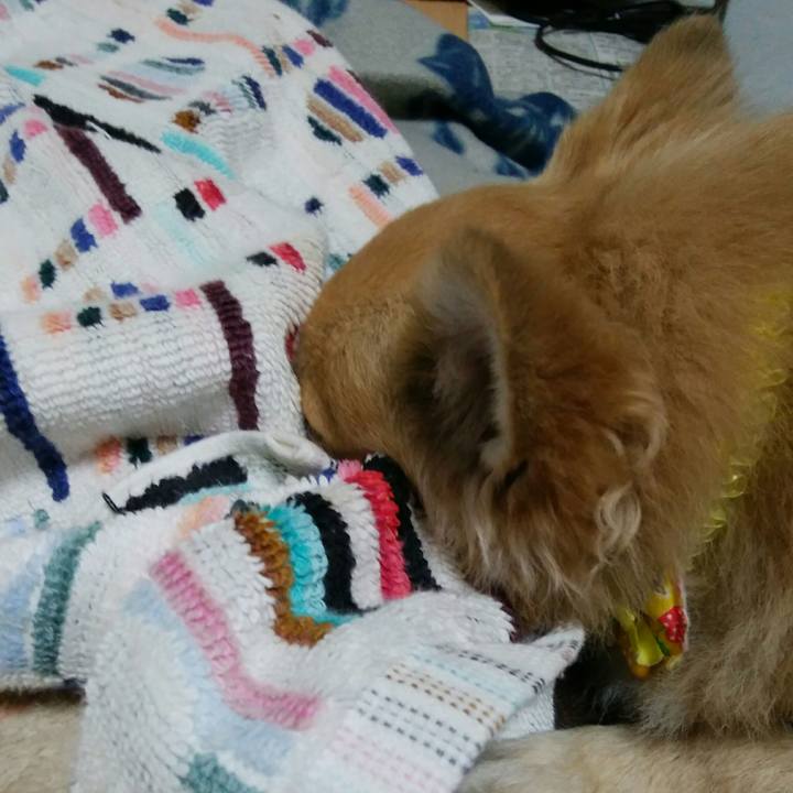 B3f40d88 57f7 42b7 8ead 9697e0e2bca5 1524998590672