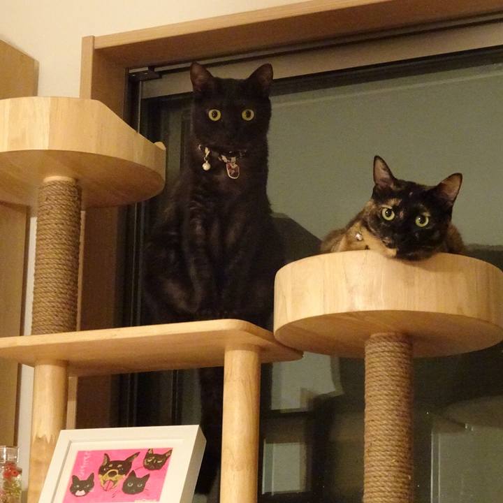 B3f410c6 71a1 4429 82c6 94c4f2cd2191 1530322490950