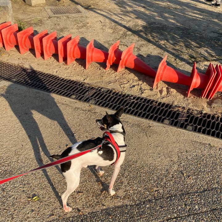 B3f42a53 e00c 4bda b350 e22e28625ae2 1572084063810