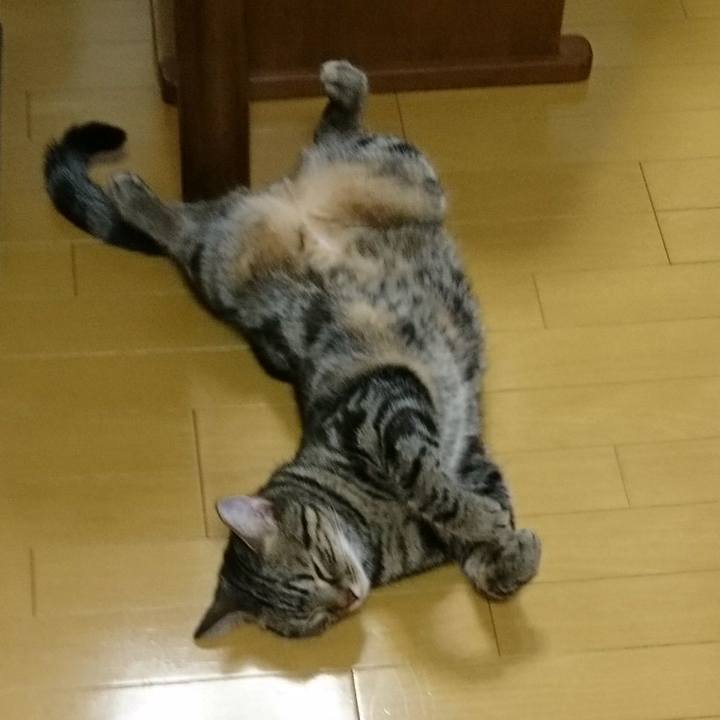 B3f447cc d4ec 4ff1 abfc 2e93ffccfeca 1509634681117