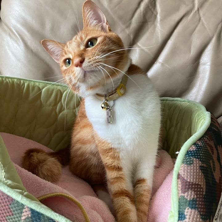 B3f456c3 3227 40bf 84bc 79cec393b620 1595856992700