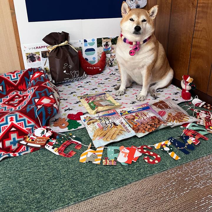 B3f462d1 03a1 4c2d bc39 b6a8ff3fb303 1668564587579