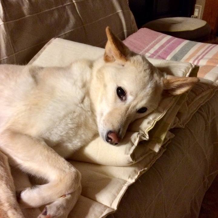 B3f4a738 dcb2 41c3 b947 e897072a8089 1524917329988