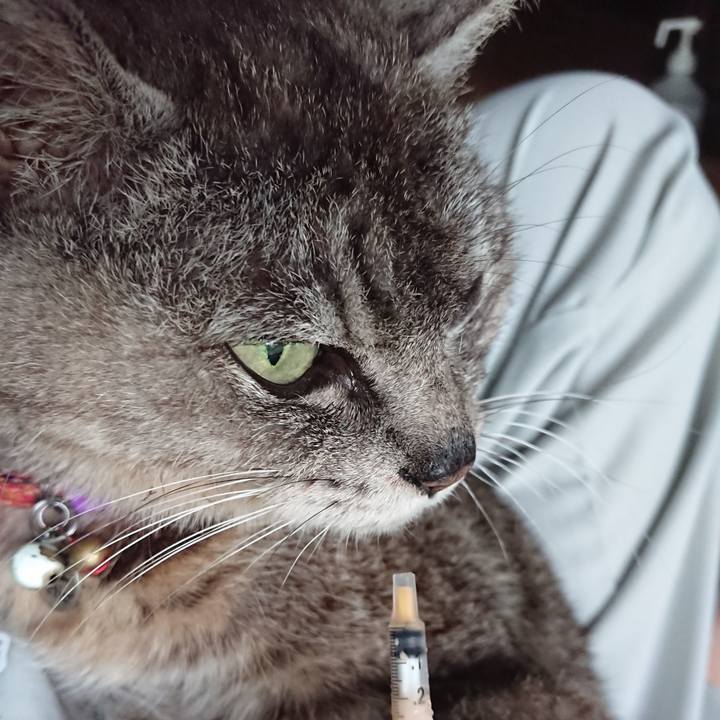 B3f51441 498b 4070 bf3f 75898f9989f3 1597614634568