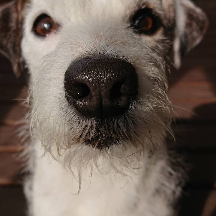 B3f51ea9 bf2d 45a1 86b0 583dd4b5cbde 1524438884796