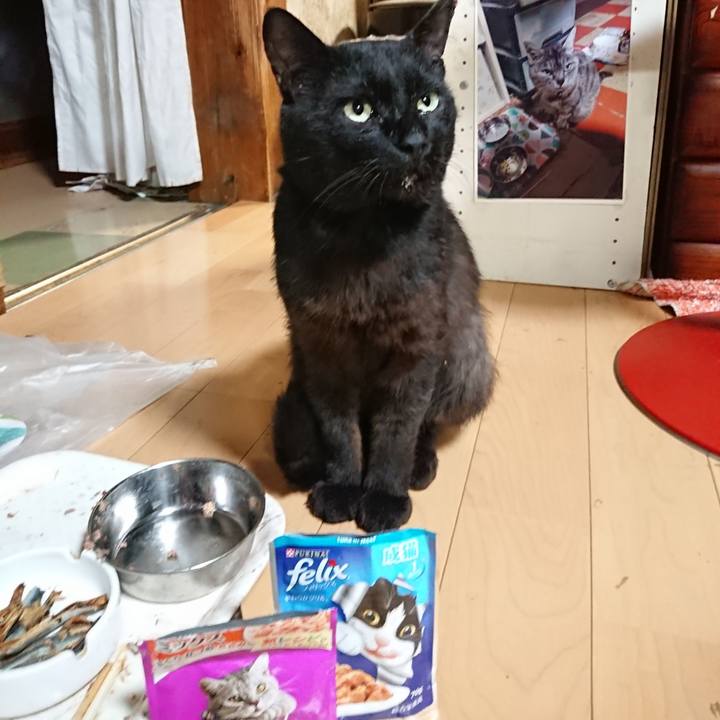 B3f52585 117e 474d 8746 cb48e233a3c2 1625139953194