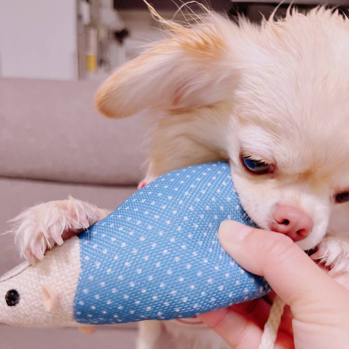 B3f53921 ca77 43e6 bfdf 1aaf9f46eb10 1679123102228