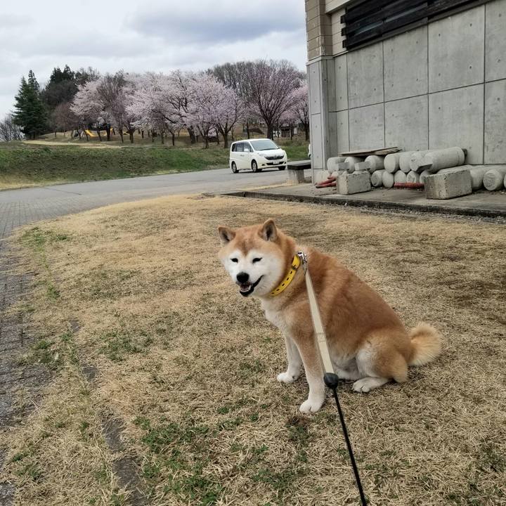 B3f544fe 820c 49be 8b0a 799dc200e248 1680833447278